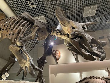 国立科学博物館に投稿された画像（2023/8/6）