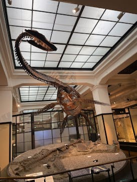 国立科学博物館に投稿された画像（2023/8/6）