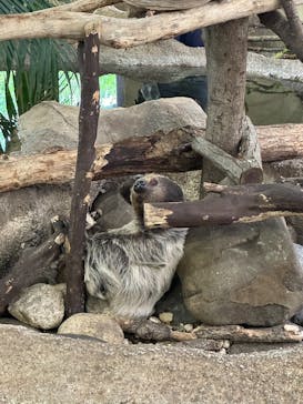 那須どうぶつ王国に投稿された画像（2023/8/6）