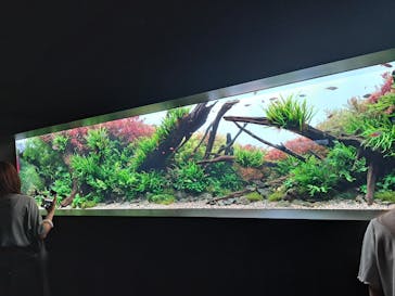 AOAO SAPPOROに投稿された画像（2023/8/6）