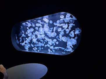 AOAO SAPPOROに投稿された画像（2023/8/6）