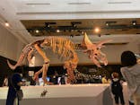 DinoScience 恐竜科学博 2023@TOKYO MIDTOWNに投稿された画像（2023/8/6）