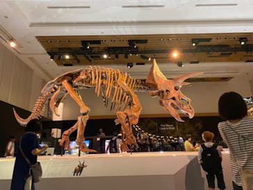 DinoScience 恐竜科学博 2023@TOKYO MIDTOWNに投稿された画像（2023/8/6）