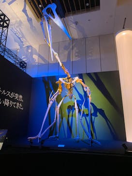 DinoScience 恐竜科学博 2023@TOKYO MIDTOWNに投稿された画像（2023/8/6）