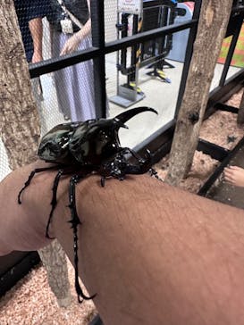 JOYPOLIS 特別イベントスペースに投稿された画像（2023/8/6）