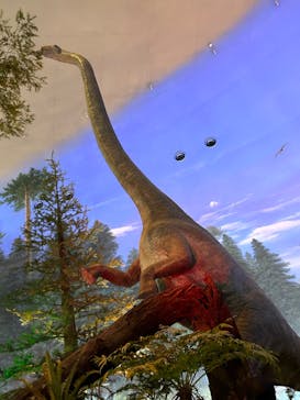 福井県立恐竜博物館に投稿された画像（2023/8/6）