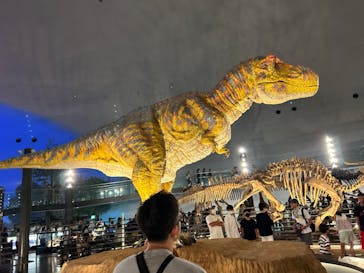 福井県立恐竜博物館に投稿された画像（2023/8/6）