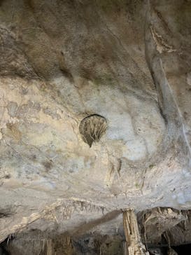 あぶくま洞に投稿された画像（2023/8/6）