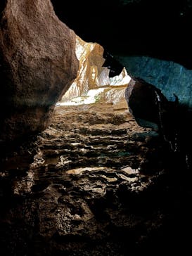 あぶくま洞に投稿された画像（2023/8/6）