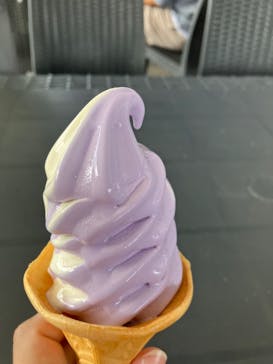 たんばらラベンダーパークに投稿された画像（2023/8/6）