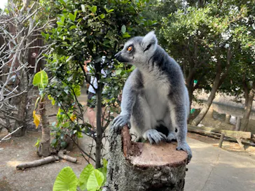 神戸どうぶつ王国に投稿された画像（2023/8/6）