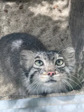 神戸どうぶつ王国に投稿された画像（2023/8/6）