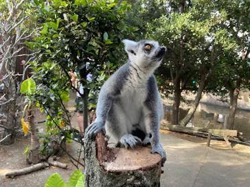 神戸どうぶつ王国に投稿された画像（2023/8/6）