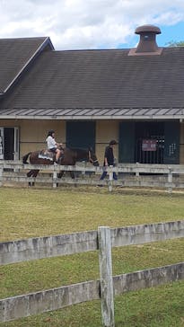 淡路ファームパーク イングランドの丘に投稿された画像（2023/8/6）