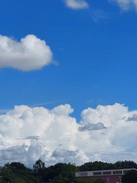 川越水上公園（埼玉県公園緑地協会）に投稿された画像（2023/8/6）