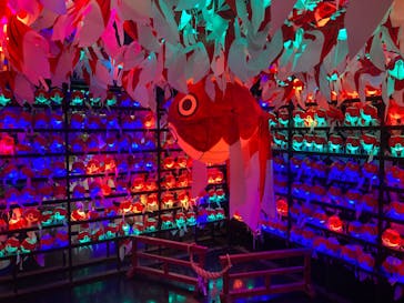 NARA KINGYO MUSEUMに投稿された画像（2023/8/6）