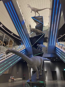 福井県立恐竜博物館に投稿された画像（2023/8/6）