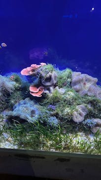 名古屋港水族館に投稿された画像（2023/8/6）