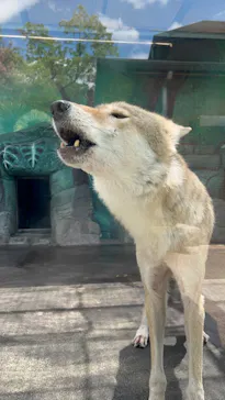 天王寺動物園に投稿された画像（2023/8/6）