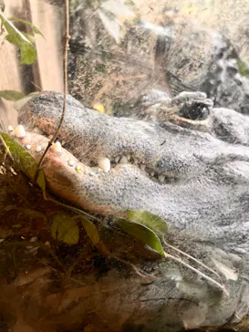 天王寺動物園に投稿された画像（2023/8/6）