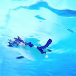 AOAO SAPPOROに投稿された画像（2023/8/6）