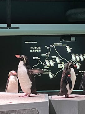 AOAO SAPPOROに投稿された画像（2023/8/6）