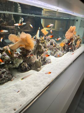 AOAO SAPPOROに投稿された画像（2023/8/6）