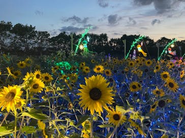 せんだい農業園芸センター　みどりの杜に投稿された画像（2023/8/6）