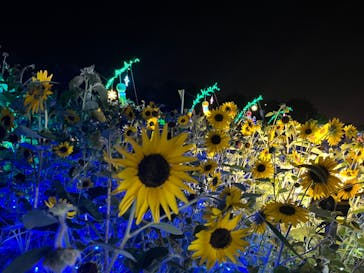 せんだい農業園芸センター　みどりの杜に投稿された画像（2023/8/6）