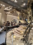 国立科学博物館に投稿された画像（2023/8/6）