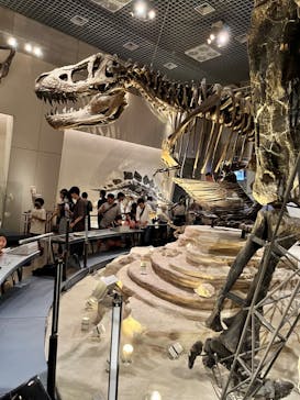 国立科学博物館に投稿された画像（2023/8/6）
