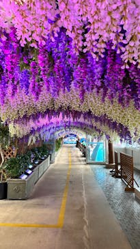 東京サマーランドに投稿された画像（2023/8/6）