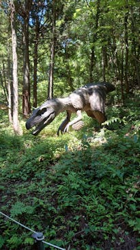 福井県立恐竜博物館に投稿された画像（2023/8/6）