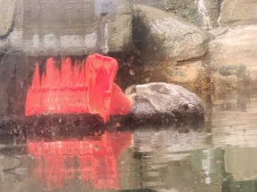 マリンワールド海の中道に投稿された画像（2023/8/6）