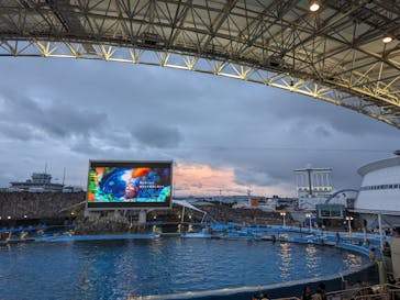 名古屋港水族館に投稿された画像（2023/8/6）