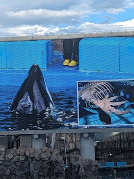 名古屋港水族館に投稿された画像（2023/8/6）