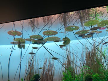 AOAO SAPPOROに投稿された画像（2023/8/6）