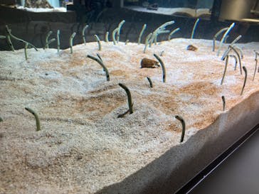 AOAO SAPPOROに投稿された画像（2023/8/6）