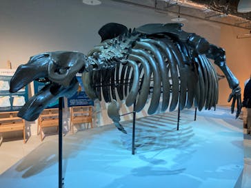 AOAO SAPPOROに投稿された画像（2023/8/6）