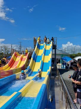 蓮沼ウォーターガーデンに投稿された画像（2023/8/6）