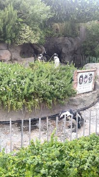 サンシャイン水族館に投稿された画像（2023/8/6）