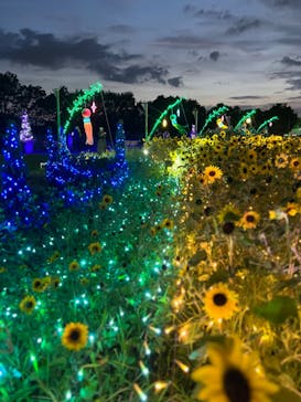 せんだい農業園芸センター　みどりの杜に投稿された画像（2023/8/6）