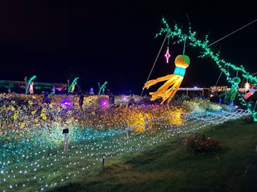 せんだい農業園芸センター　みどりの杜に投稿された画像（2023/8/6）