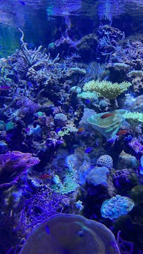 名古屋港水族館に投稿された画像（2023/8/6）