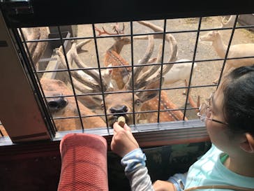 那須サファリパークに投稿された画像（2023/8/6）