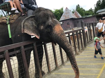 那須サファリパークに投稿された画像（2023/8/6）