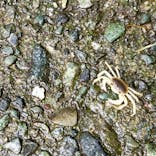 彫刻の森美術館に投稿された画像（2023/8/6）