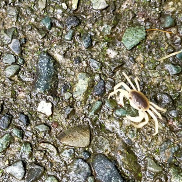 彫刻の森美術館に投稿された画像（2023/8/6）