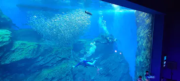 仙台うみの杜水族館に投稿された画像（2023/8/6）