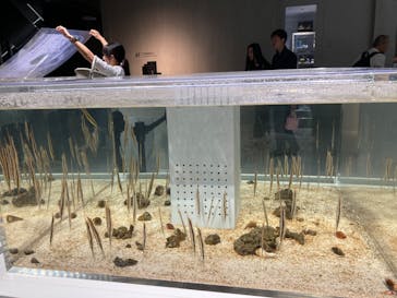 AOAO SAPPOROに投稿された画像（2023/8/6）